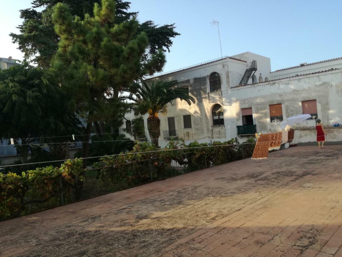 Zia Amalia Villa Asfodelo Αλγκέρο Εξωτερικό φωτογραφία