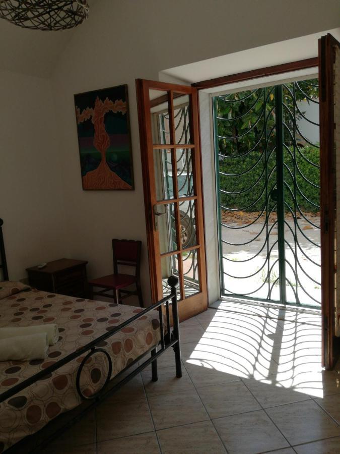 Zia Amalia Villa Asfodelo Αλγκέρο Εξωτερικό φωτογραφία